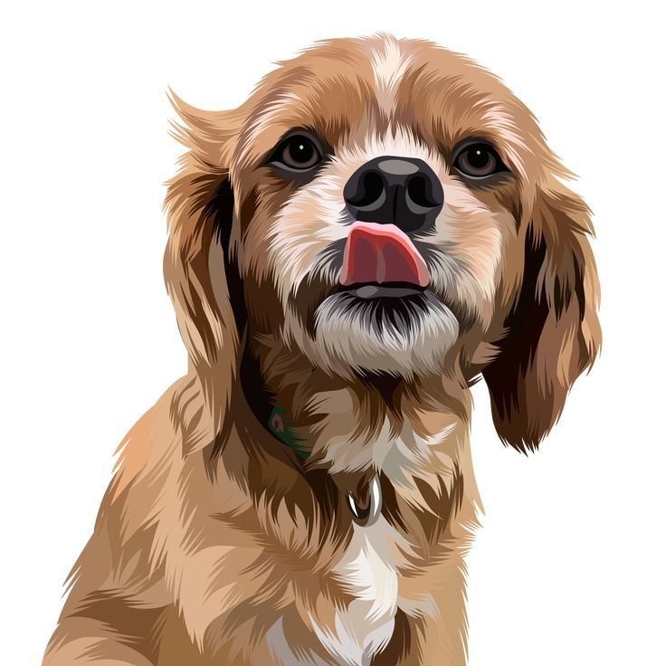 Discover the stunning idea of having the ability to make custom pet portraits post thumbnail image