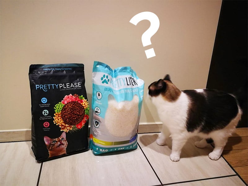 How to Choose the Right Pretty Litter for Your Cat post thumbnail image