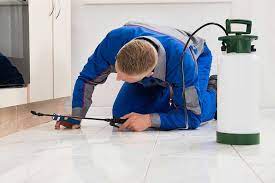 Pest control – Get All The Details You Need For Pest-Free Living In Las Vegas post thumbnail image