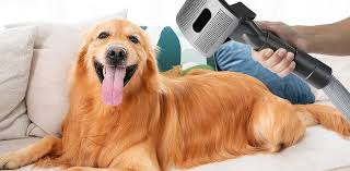Find out how long lasting a high velocity dog dryer can be post thumbnail image