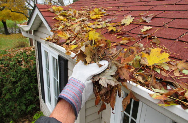 Gutter Cleaning: Why It’s Essential and the ways to Do It Yourself post thumbnail image