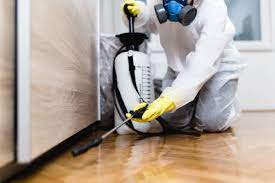 Effective and Safe Solutions for Getting Rid of Unwanted Guests – Professional Pest Control Services post thumbnail image