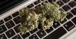Buy Edibles, Vapes & More with Buy weed online post thumbnail image