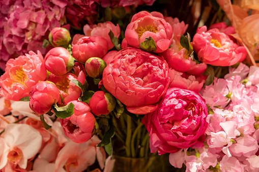 Show You Care with Luxury Peonies Delivery in New York City post thumbnail image
