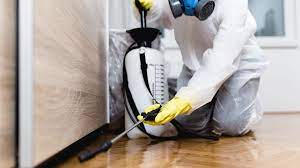 Keeping Your Home Environment Safe from Pest Infestations in Las Vegas post thumbnail image