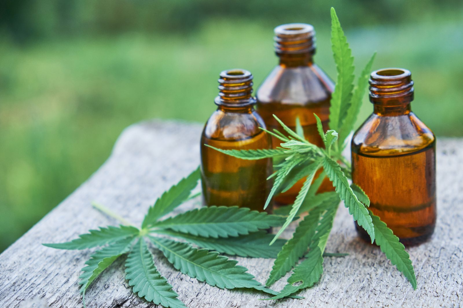 CBD oil For Fibromyalgia Symptoms: What It Can Do For You post thumbnail image