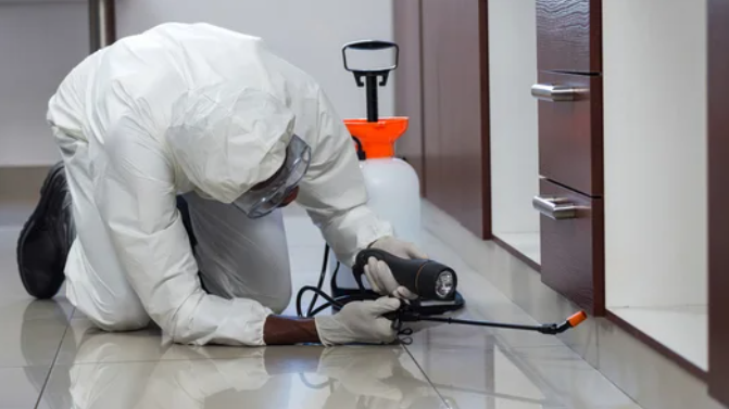 Commercial Pest control Las Vegas Las Vegas: Protecting Your Business and Reputation post thumbnail image