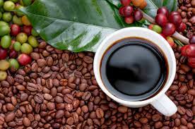 Savor the Flavor: Discovering the Best Kona Coffee Brands post thumbnail image