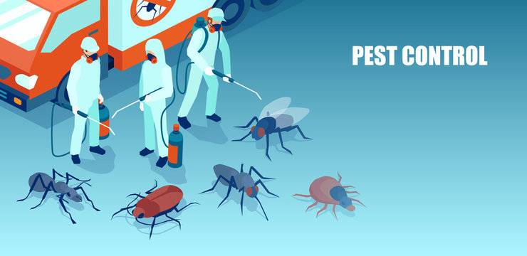 Integrated Pest Management in Las Vegas post thumbnail image