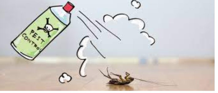 Eco-Pleasant Options for Natural Pest Control post thumbnail image