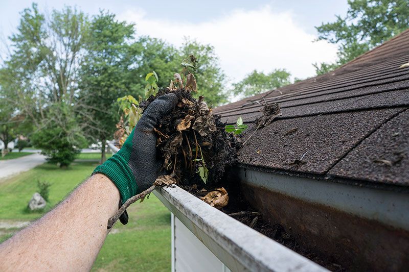 Discovering the right Windowpane Cleaner for your house post thumbnail image