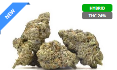 Safe and Subtle Cannabis Shipping in Mississauga post thumbnail image