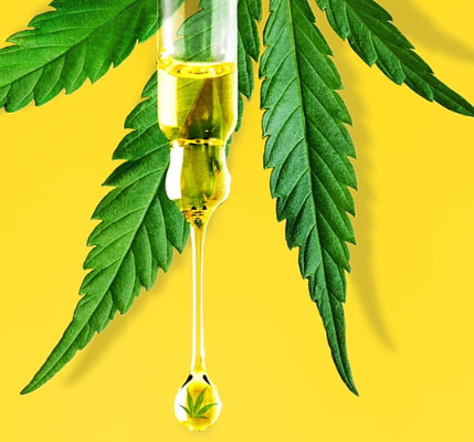 The Future is Here: Dog cbd Leading the Evolution of Cannabidiol post thumbnail image