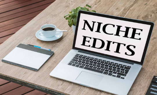 Niche edits: A Holistic Link Building Approach post thumbnail image