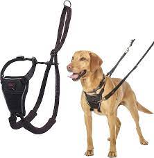 Personalized Dog Harness with Reflective Features: Safety First post thumbnail image