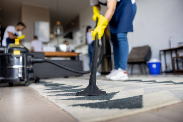 Professional Carpet Cleaning Services Within Reach post thumbnail image